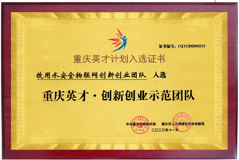 Chongqing Talent Program team